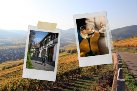 Montage photo montrant une cyclotouriste pédant dans les rues d'un village alsacien, un verre de vin blanc d'Alsace sur fond de vignoble 