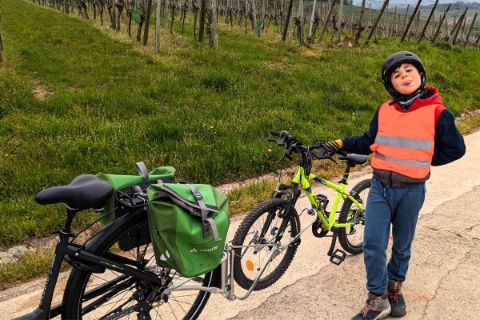 Garçon posant avec son vélo suiveur dans les vignes alsaciennes