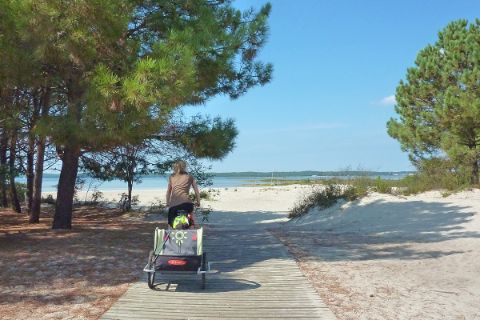Cyclotouriste pédale vers la plage le long d'une pinède avec une remoque enfant