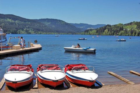 Rives du lac Titisee
