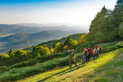 Groupe d'amis en randonnée, admirant une vue splendide sur les Vosges