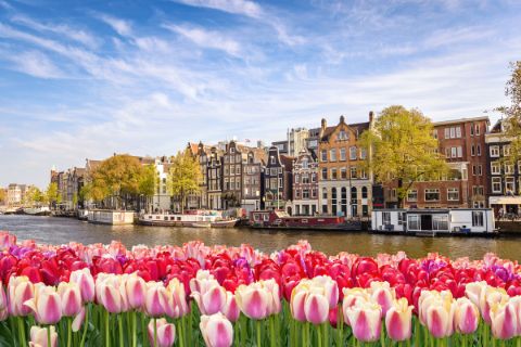 Vue pittoresque d'Amsterdam avec des tulipes au premier plan